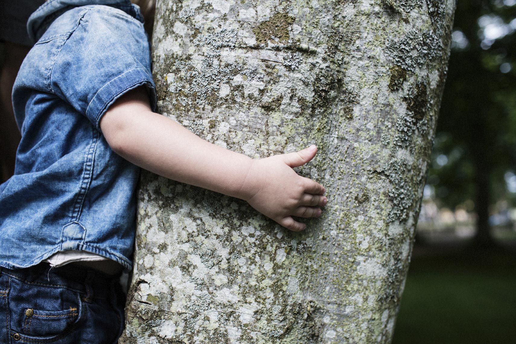 Tree hugger